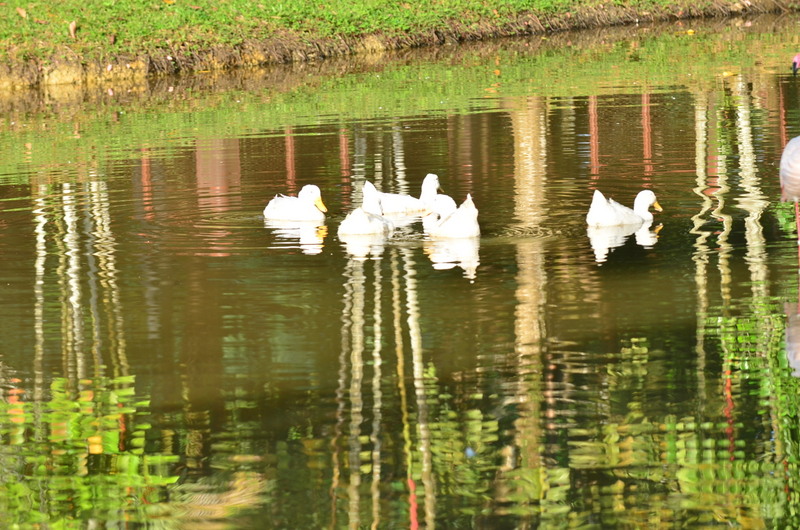 DSC 1683